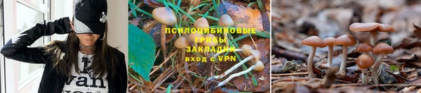 альфа пвп Лиски