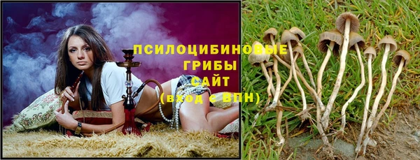 мдпв Липки
