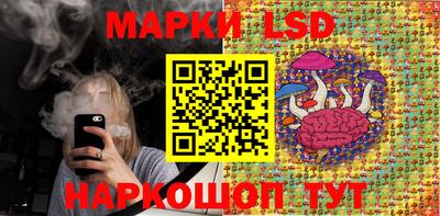 метадон Гай