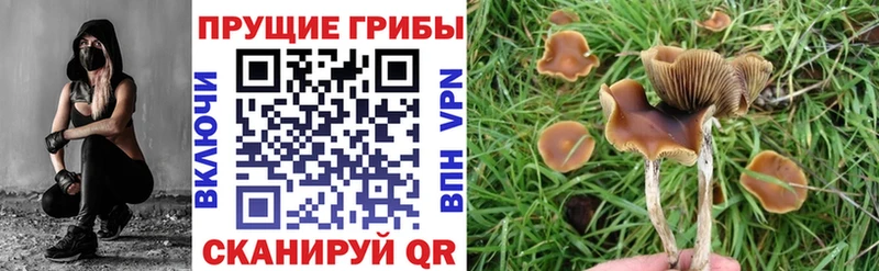 Галлюциногенные грибы ЛСД  наркотики  Старый Оскол 