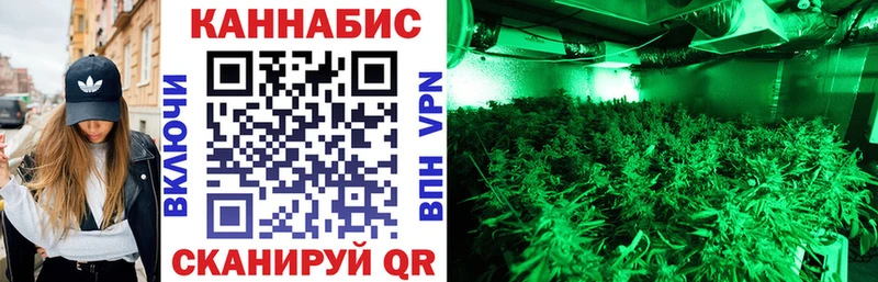 площадка телеграм  Старый Оскол  Канабис план 